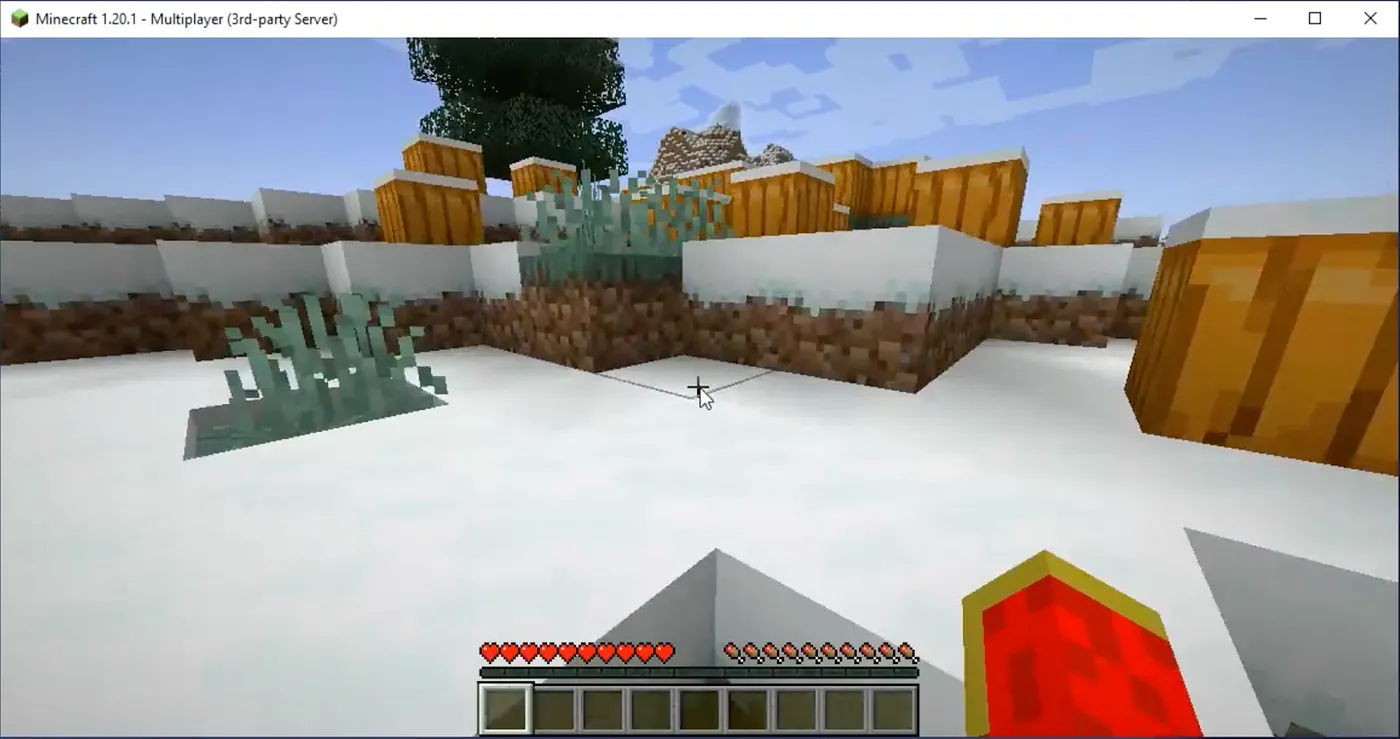 Minecraft 1.20.1 multiplayer session on a third-party server, showing a snowy landscape