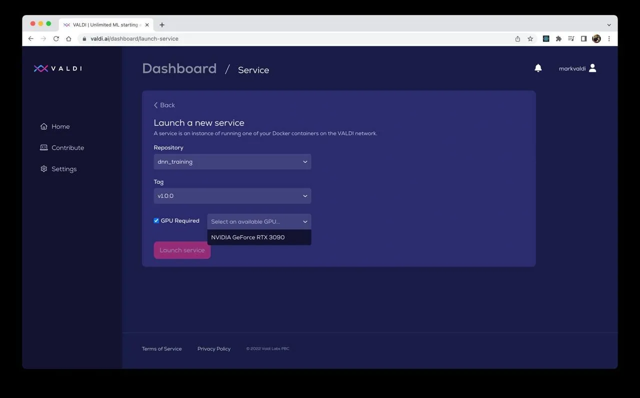 VALDI dashboard form for launching a new service from a Docker repository and tag, with an NVIDIA GeForce RTX 3090 selected as the GPU